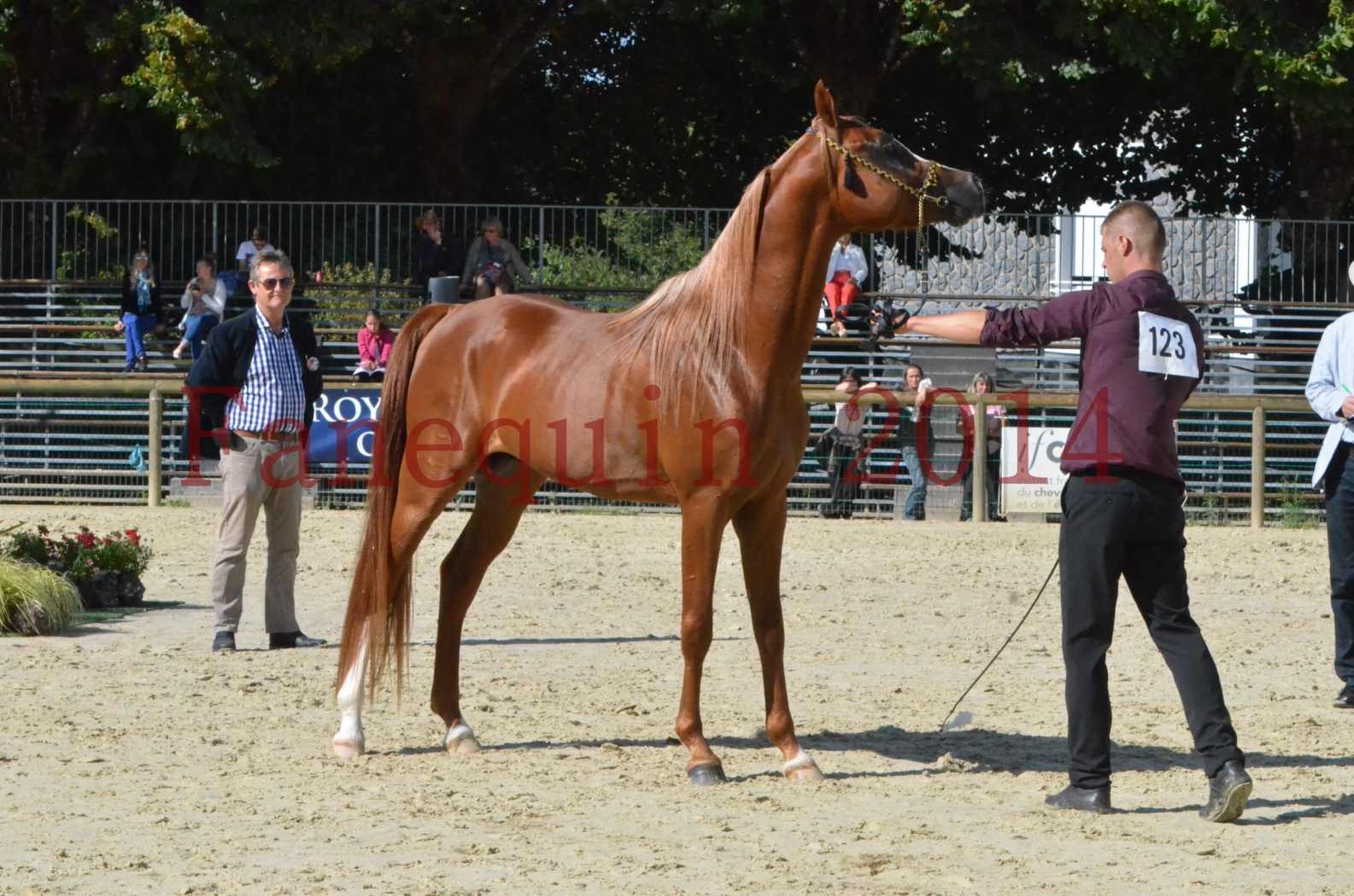 Championnat de FRANCE 2014 - Amateurs - SELECTO IBN SAMAWI - 074