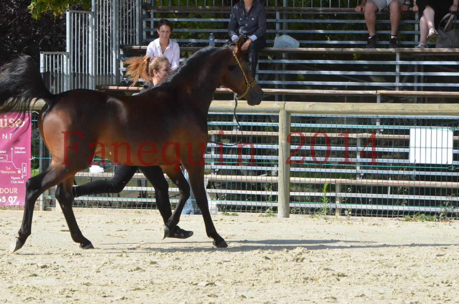 Championnat de FRANCE 2014 - Amateurs - JA KHALEB - 22