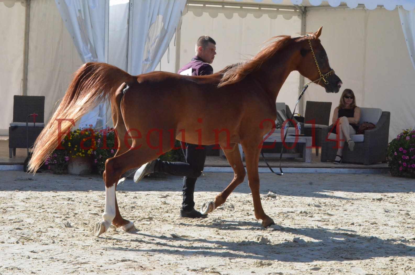 Championnat de FRANCE 2014 - Amateurs - SELECTO IBN SAMAWI - 029