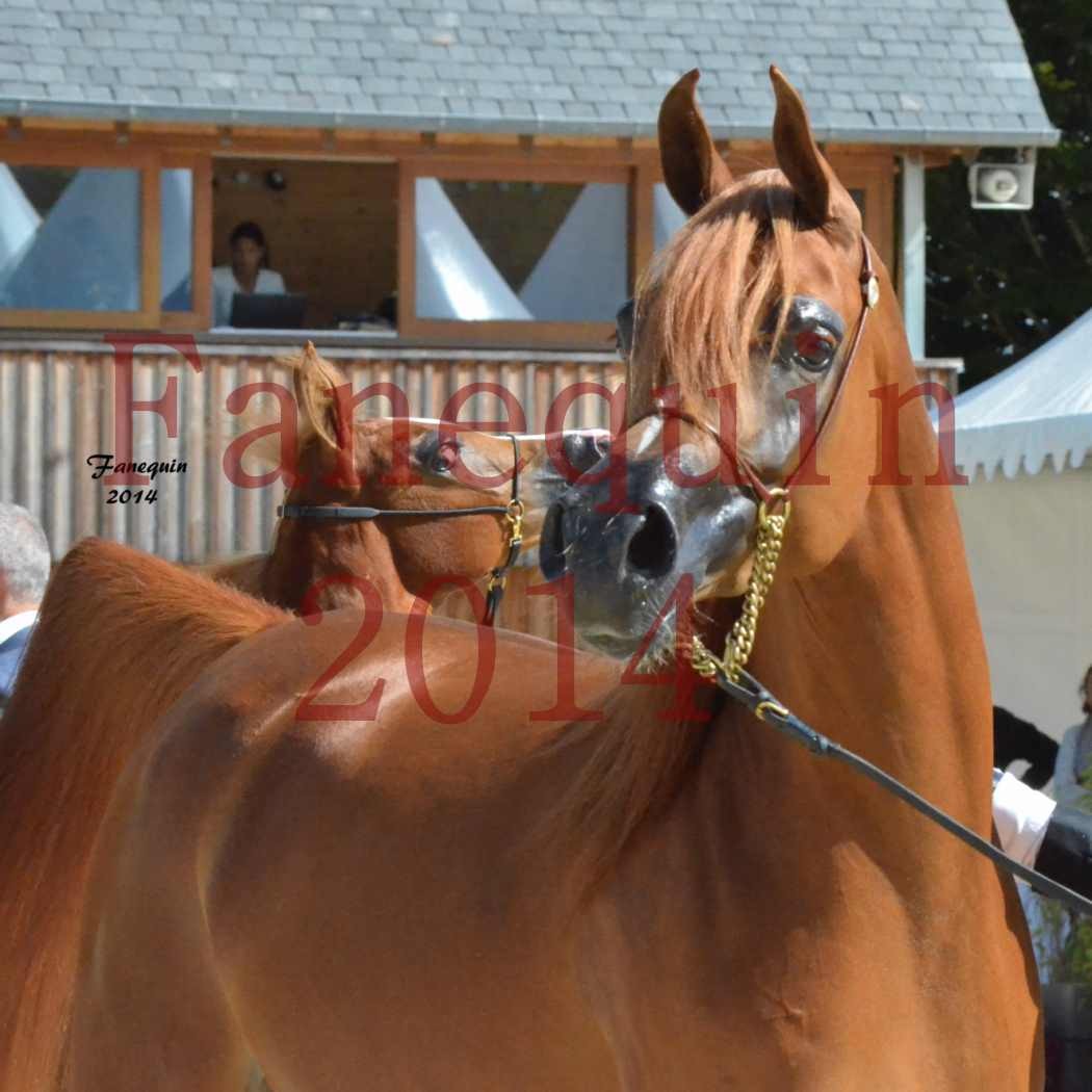 ﻿CHAMPIONNAT DE FRANCE 2014 A POMPADOUR - Notre Sélection - KINSHASA JA - 20