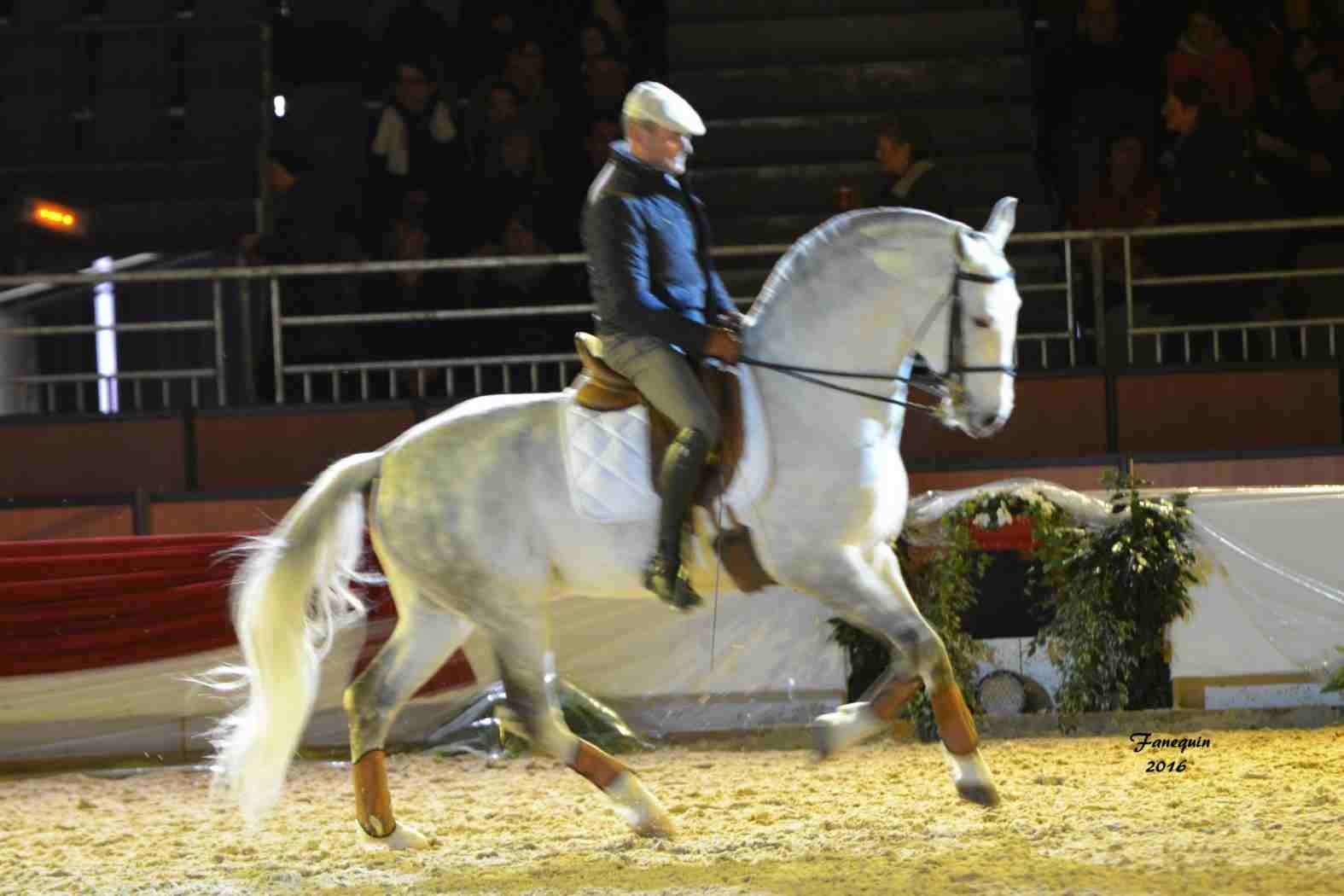 Cheval Passion 2016 - Présentation des LUSITANIENS - Ecurie de Max VENDRELL & Corinne BOUCHITTE - 33