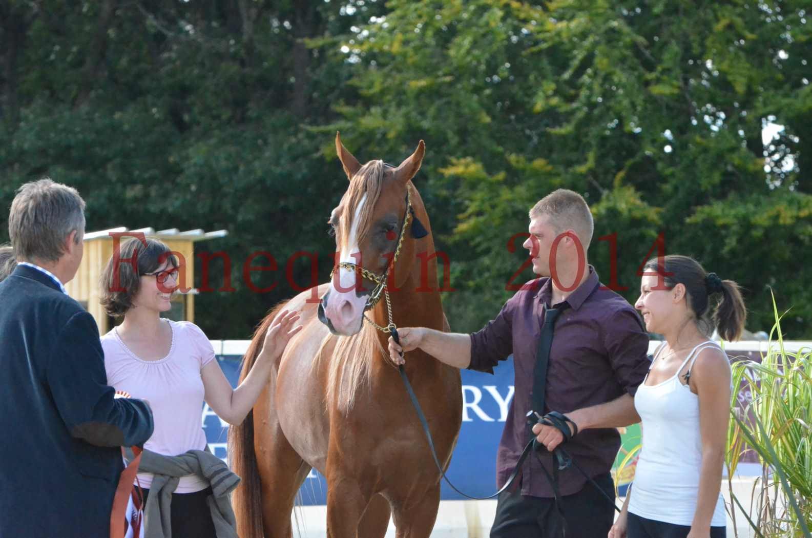 Championnat de FRANCE 2014 - Amateurs - SELECTO IBN SAMAWI - 096