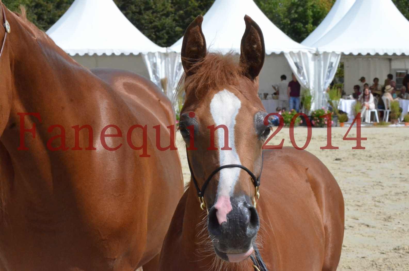 ﻿CHAMPIONNAT DE FRANCE 2014 A POMPADOUR - Championnat - KINSHASA JA - 57