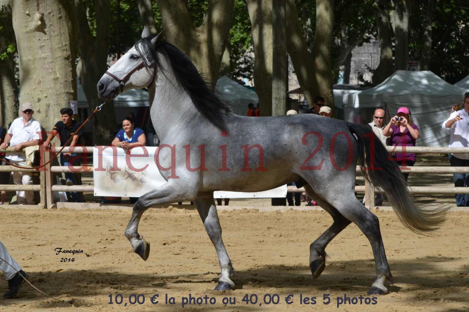 Championnat de FRANCE de PRE-présentation en main-11