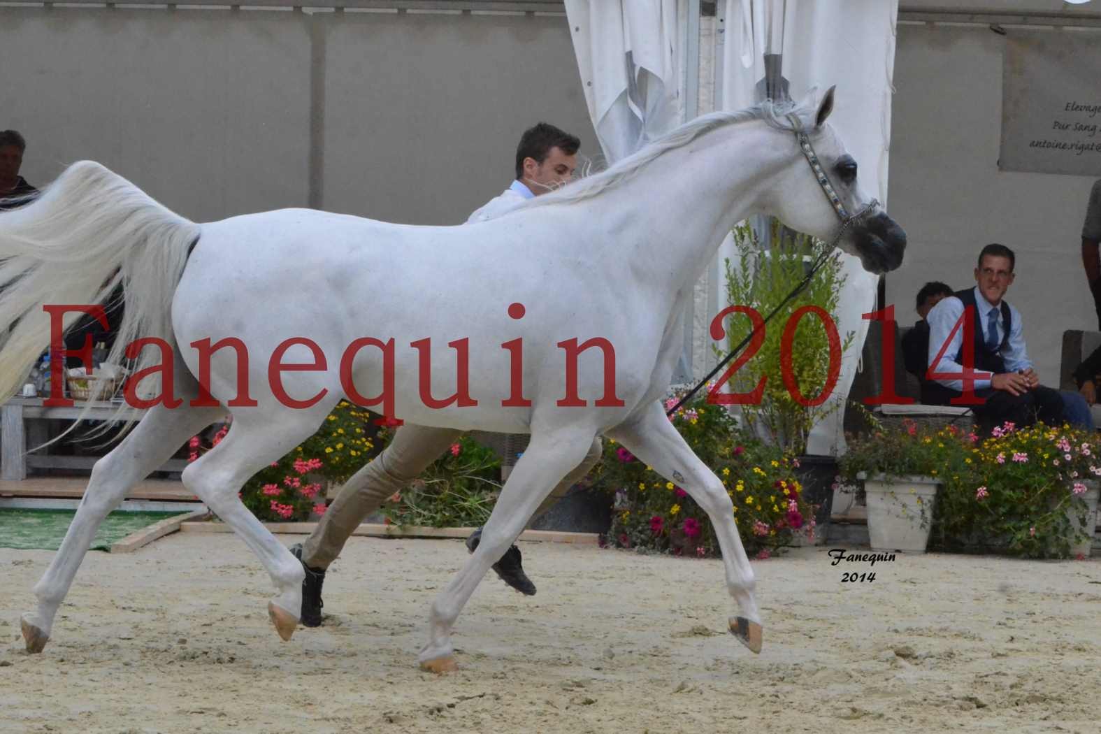 ﻿CHAMPIONNAT DE FRANCE 2014 A POMPADOUR - Notre Sélection - BLEUENN MILIN AVEL - 03