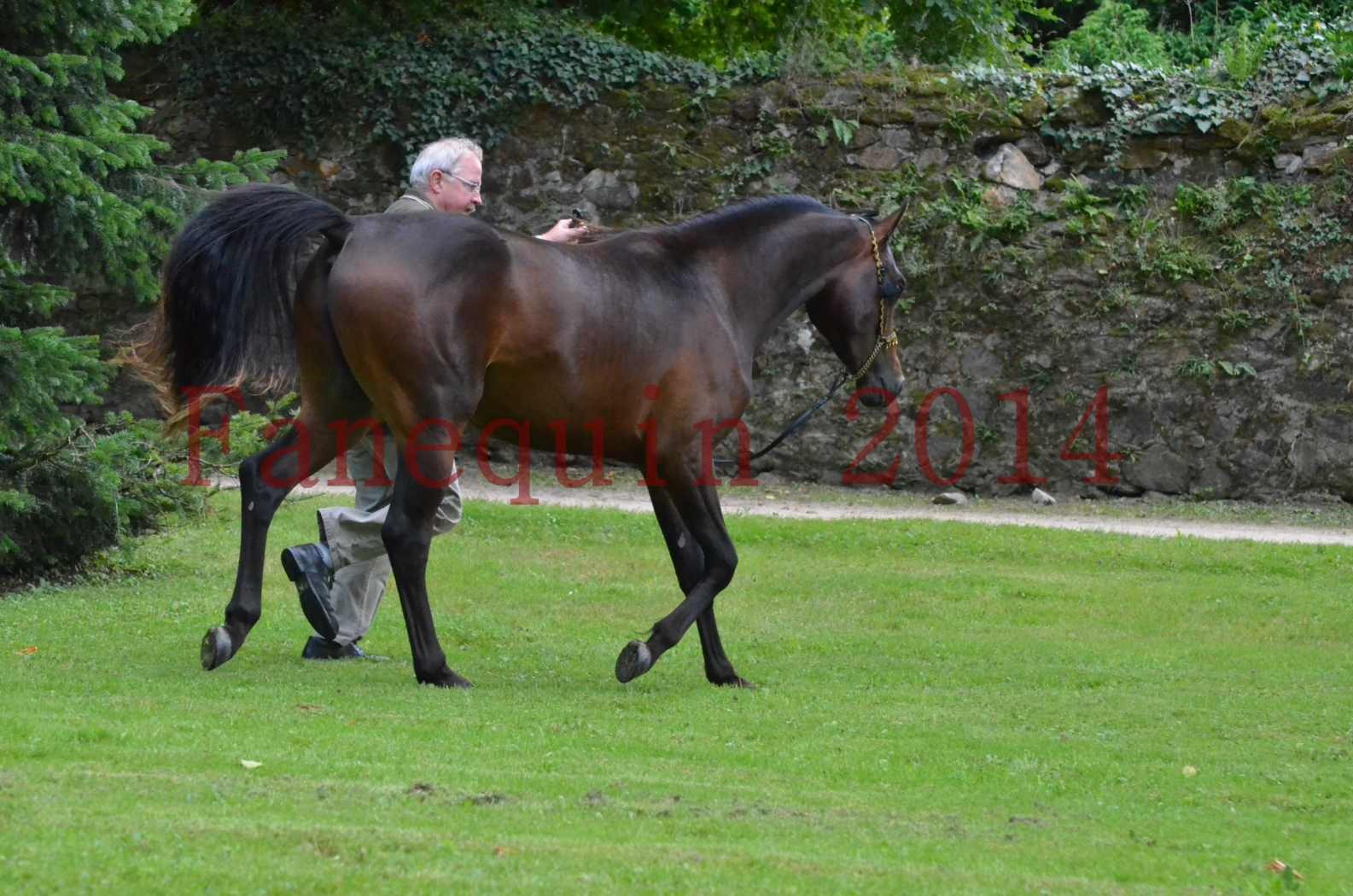 Championnat de FRANCE 2014 - Amateurs - JA KHALEB - 91