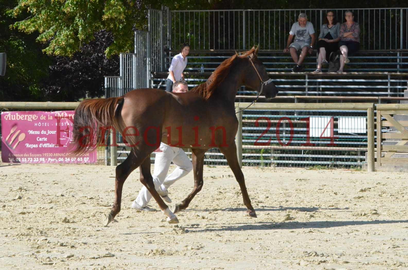 Championnat de FRANCE 2014 - Amateurs - LAMAL - 50