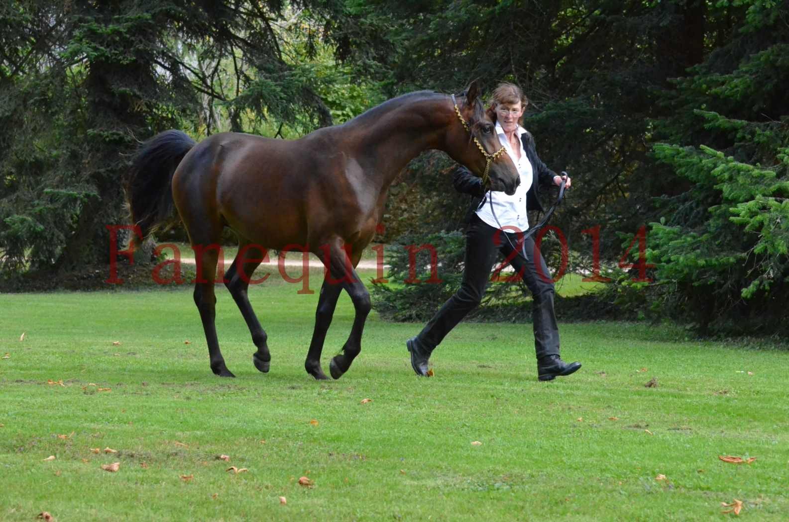 Championnat de FRANCE 2014 - Amateurs - JA KHALEB - 68