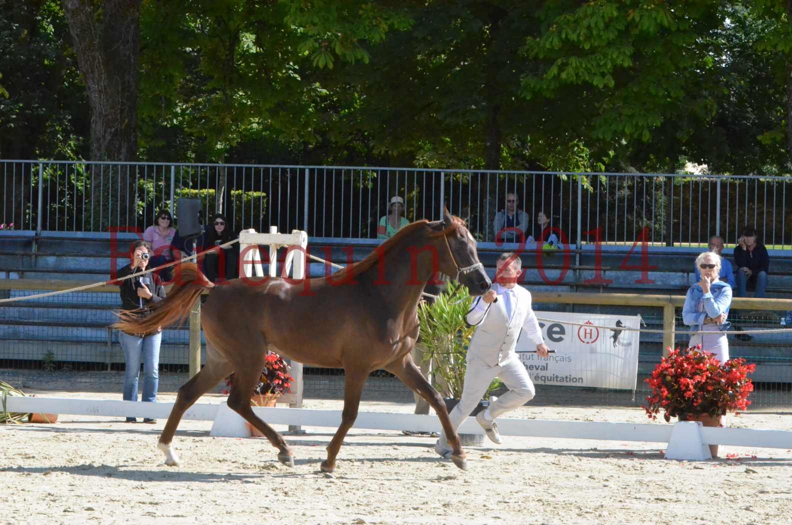 Championnat de FRANCE 2014 - Amateurs - LAMAL - 03