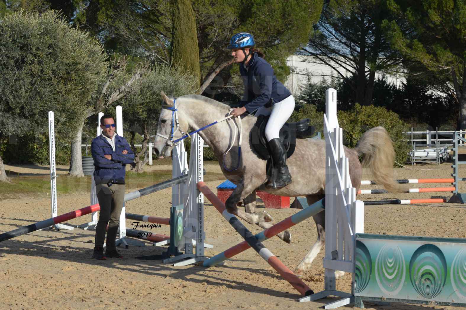 Présentation d’Étalons aux Haras d'UZES - Présentation monté - NAFSTALIK DE L'ARLYNE - 6