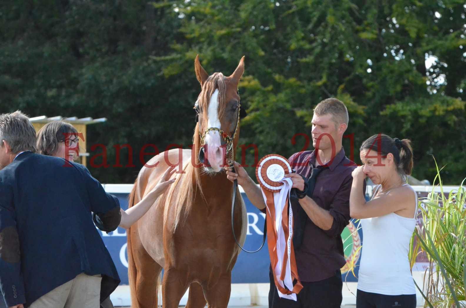 Championnat de FRANCE 2014 - Amateurs - SELECTO IBN SAMAWI - 097