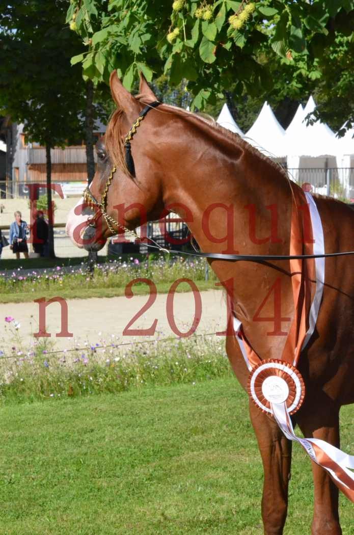 Championnat de FRANCE 2014 - Amateurs - SELECTO IBN SAMAWI - 198