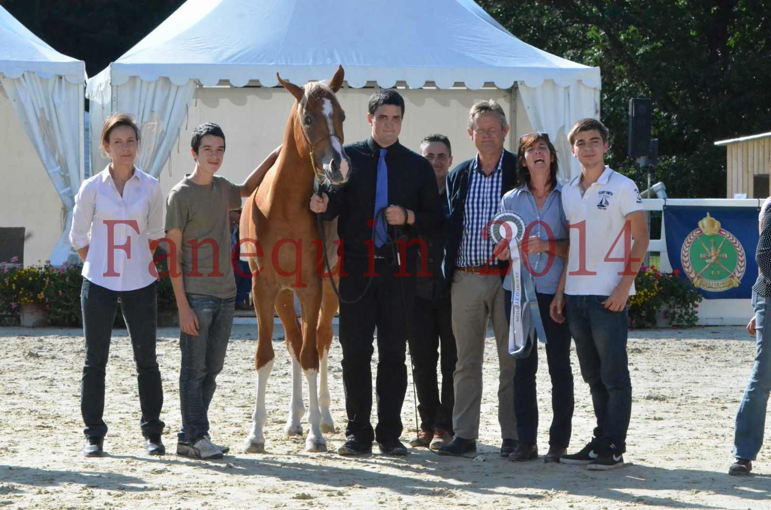 Championnat de FRANCE 2014 - Amateurs - SELECTO IBN SAMAWI - 092