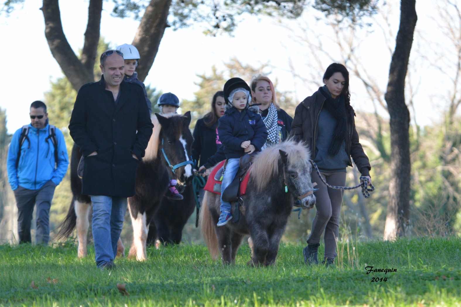 Marchés de Noël 2014 - Promenades en Poneys à Pignan - 14