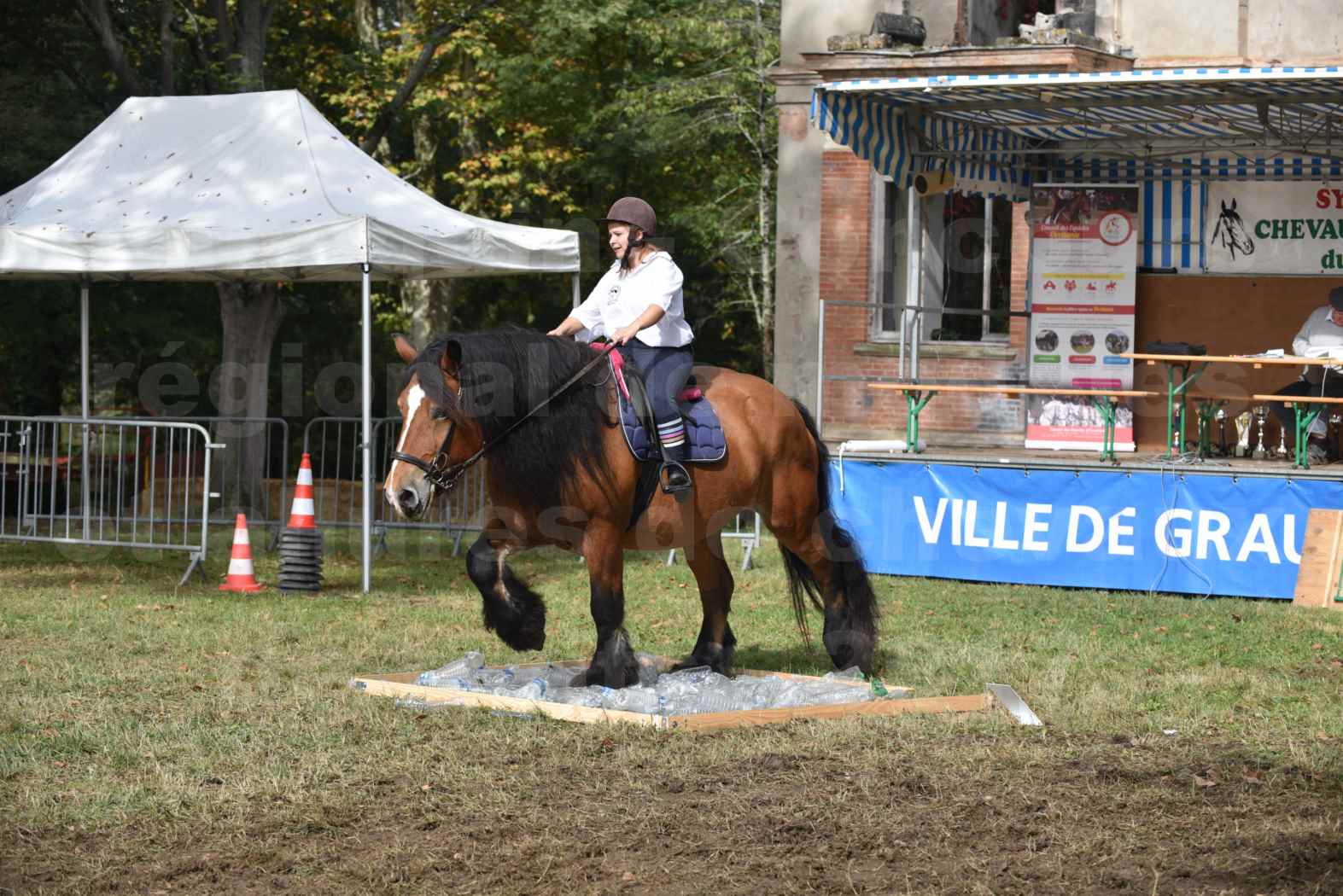 Concours régional de chevaux de traits 2017 - QUIQUINOU - 3