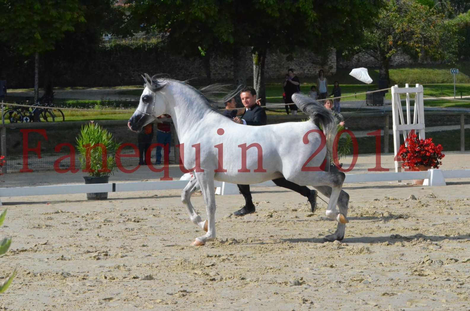 CHAMPIONNAT DE FRANCE  2014 A POMPADOUR - Sélection - SHAOLIN DE NEDJAIA - 03