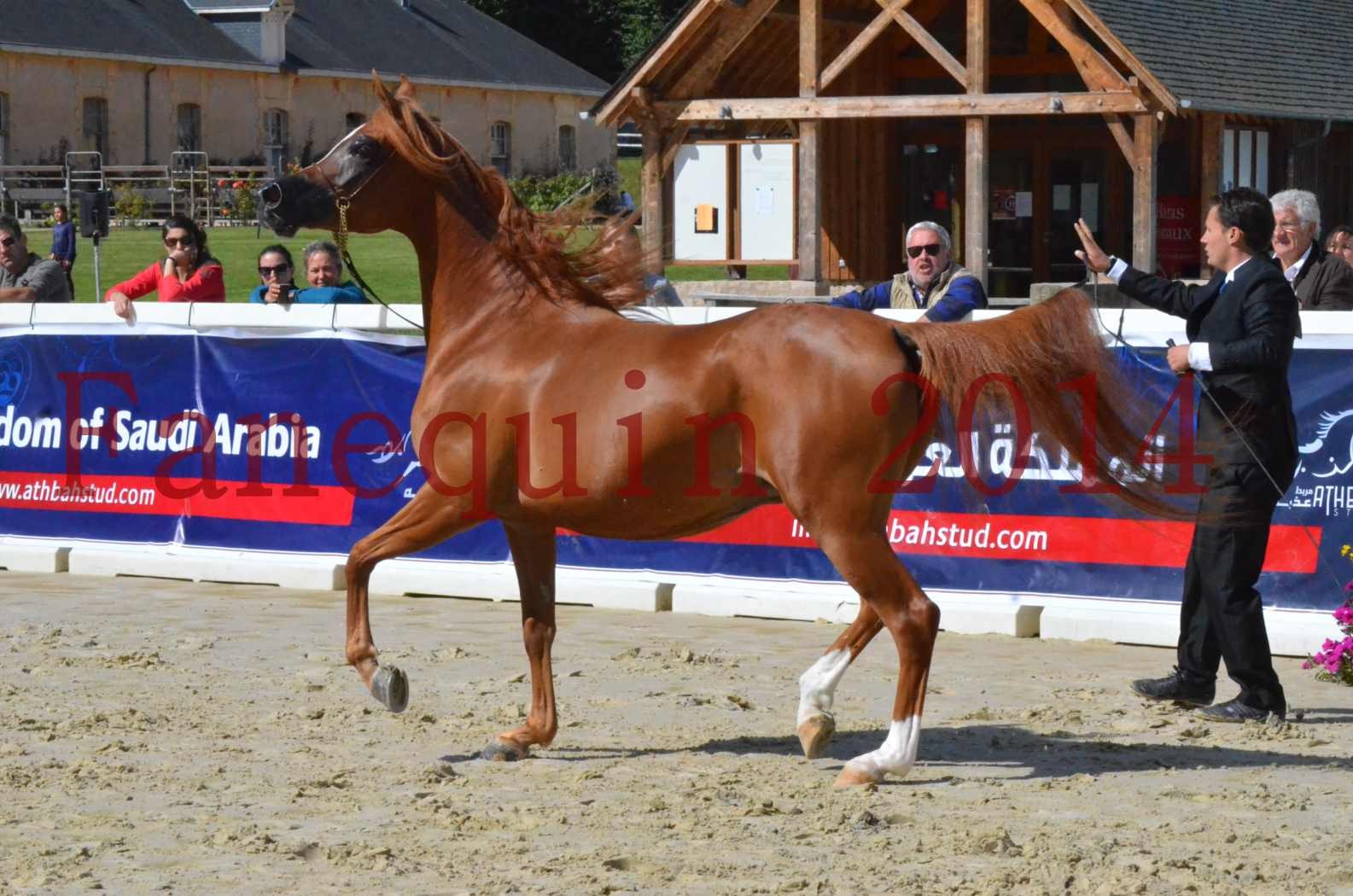 ﻿CHAMPIONNAT DE FRANCE 2014 A POMPADOUR - Sélection - KINSHASA JA - 25