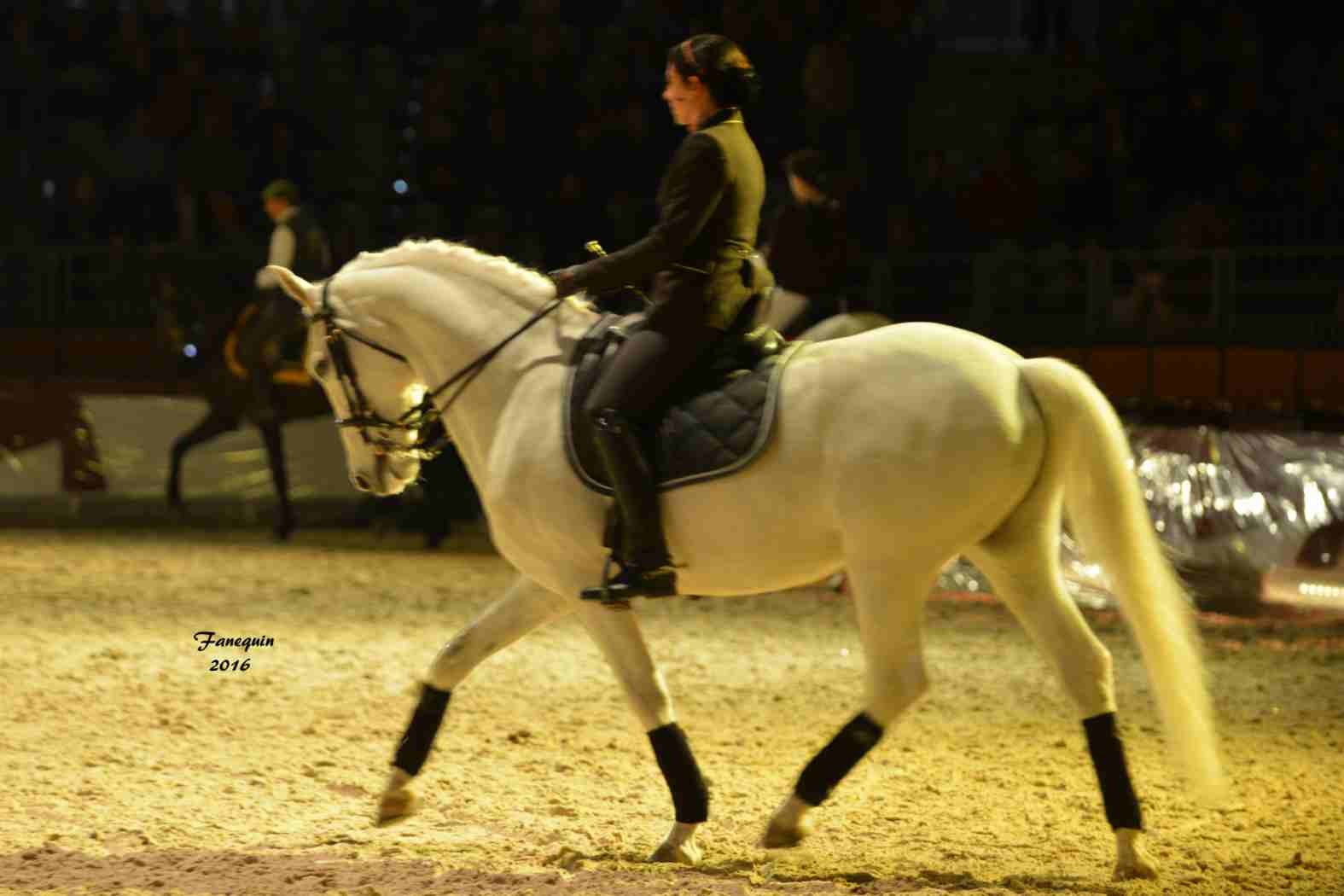 Cheval Passion 2016 - Présentation des LUSITANIENS - Ecurie de Max VENDRELL & Corinne BOUCHITTE - 41