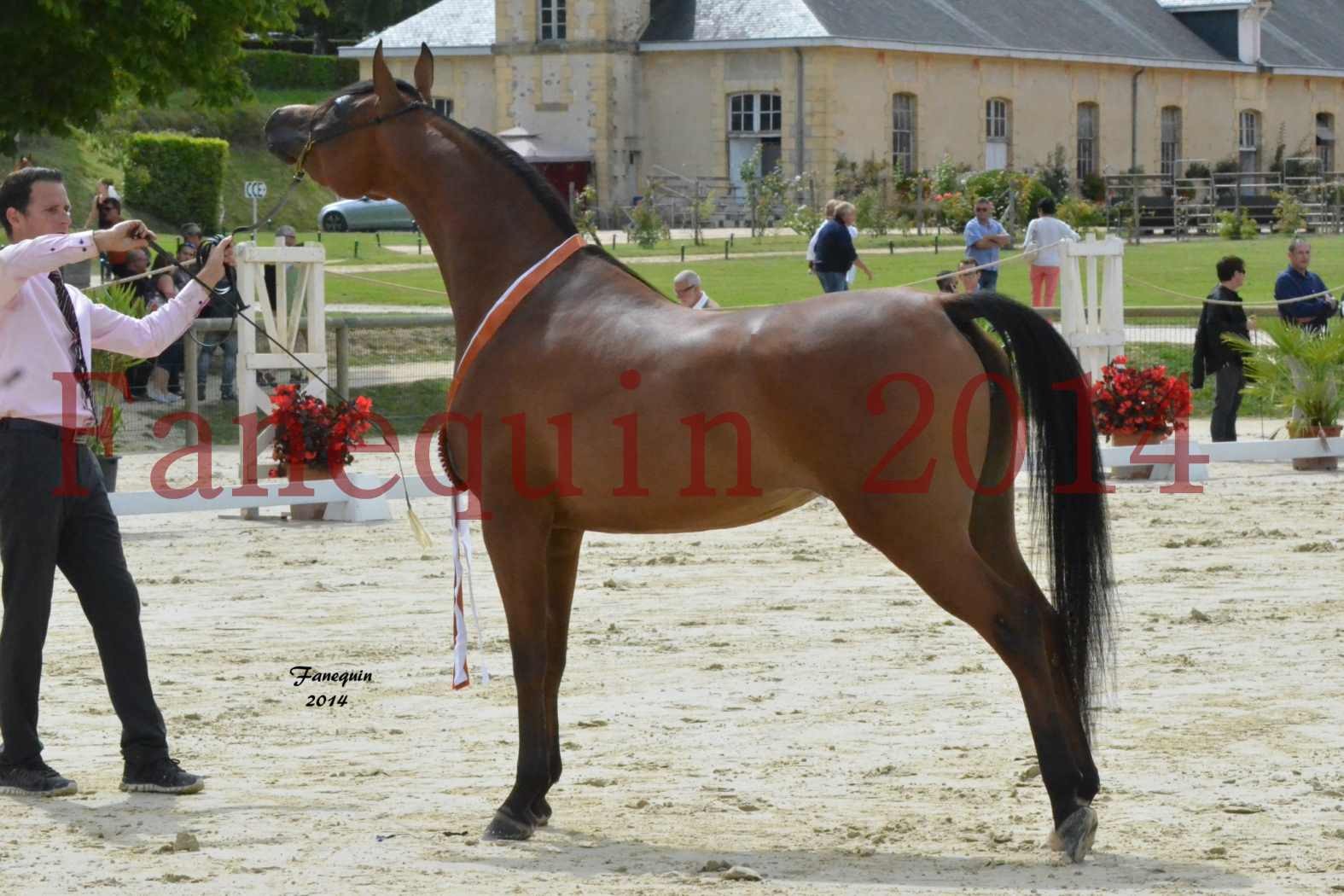 ﻿CHAMPIONNAT DE FRANCE 2014 A POMPADOUR - Notre Sélection - KARAWAN ALBIDAYER - 12