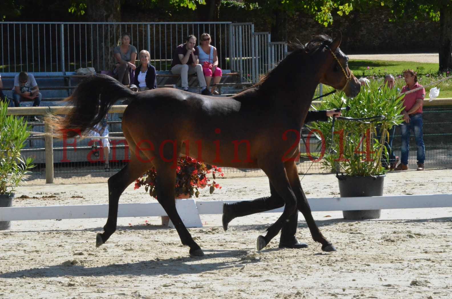 Championnat de FRANCE 2014 - Amateurs - JA KHALEB - 09