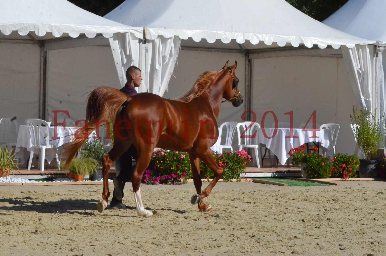 Championnat de FRANCE 2014 - Amateurs - SELECTO IBN SAMAWI - 052