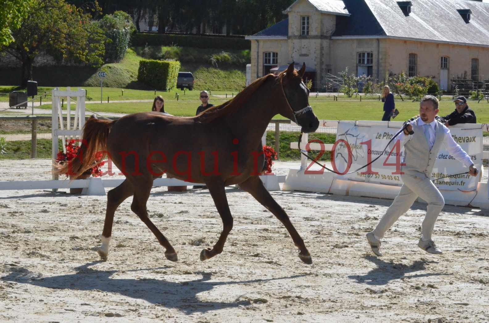 Championnat de FRANCE 2014 - Amateurs - LAMAL - 36