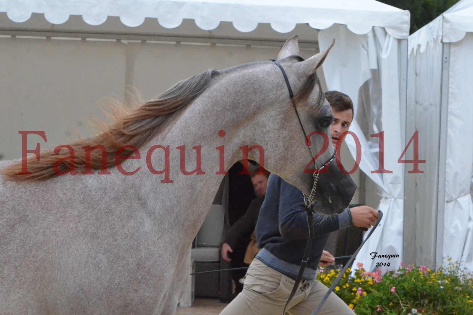 CHAMPIONNAT DE FRANCE 2014 A POMPADOUR - Notre Sélection - Portraits - ANWAR ISHANE - 1