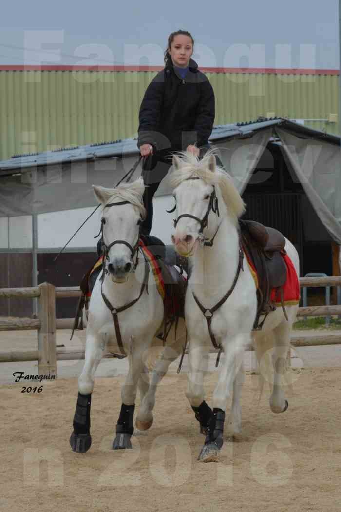 Cheval Passion 2016 - CAMARGUE poste hongroise - 3