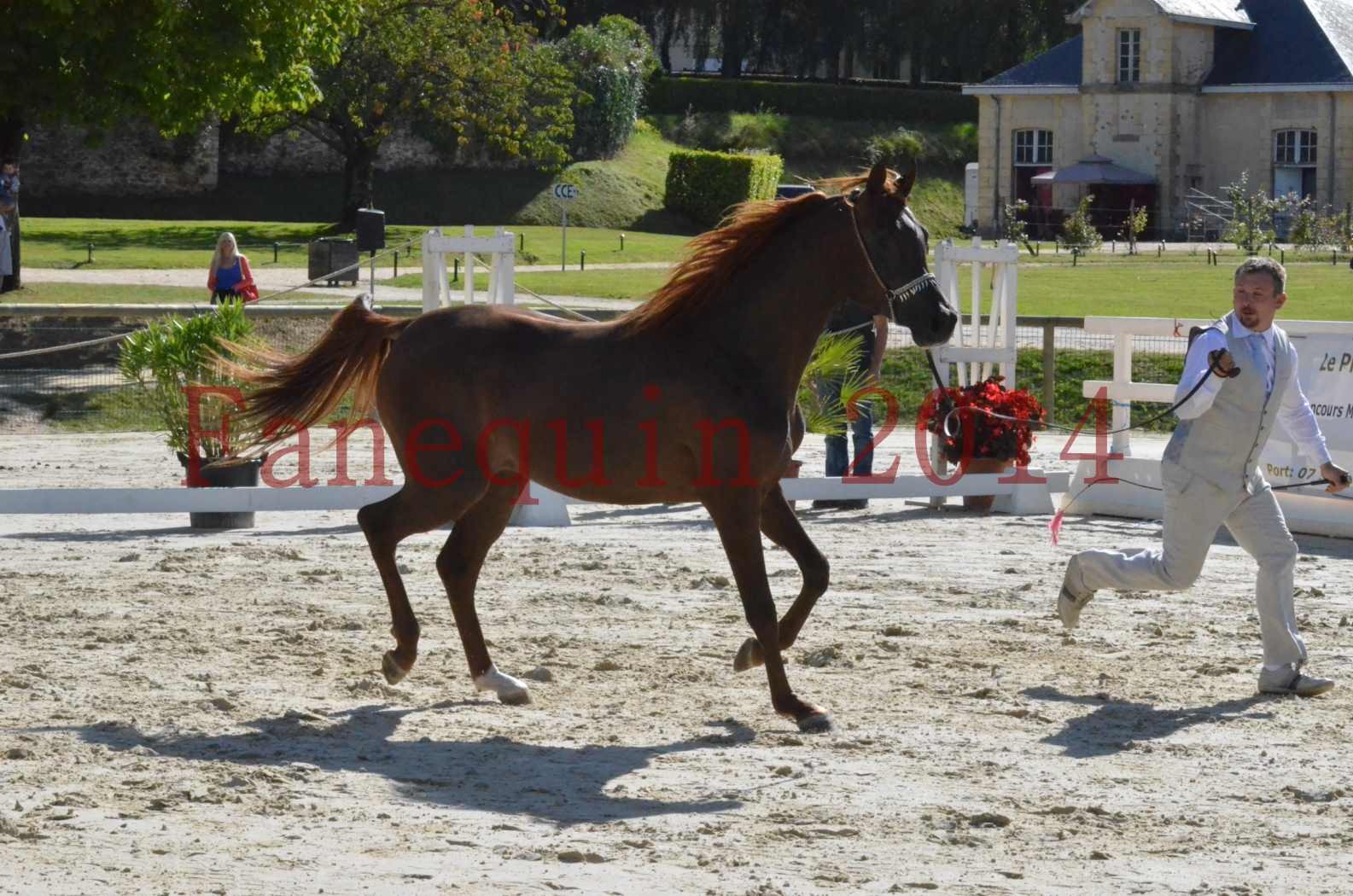 Championnat de FRANCE 2014 - Amateurs - LAMAL - 35