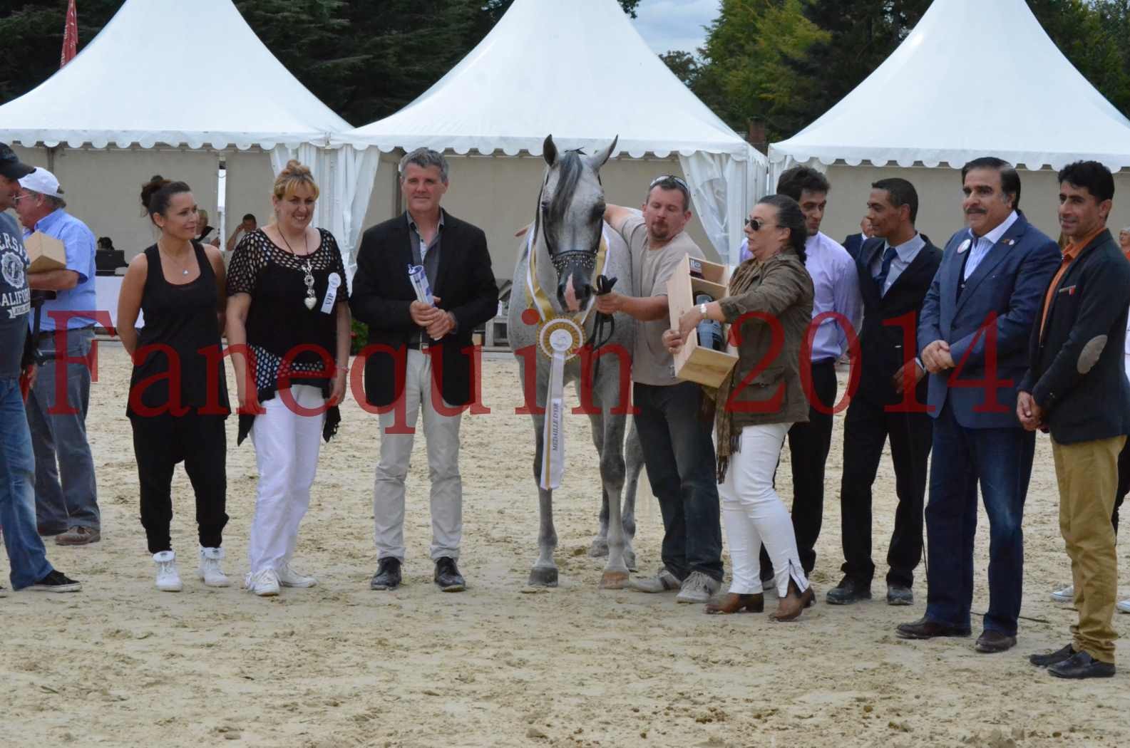 CHAMPIONNAT DE FRANCE  2014 A POMPADOUR - Championnat - SHEYK DE GARGASSAN - 24