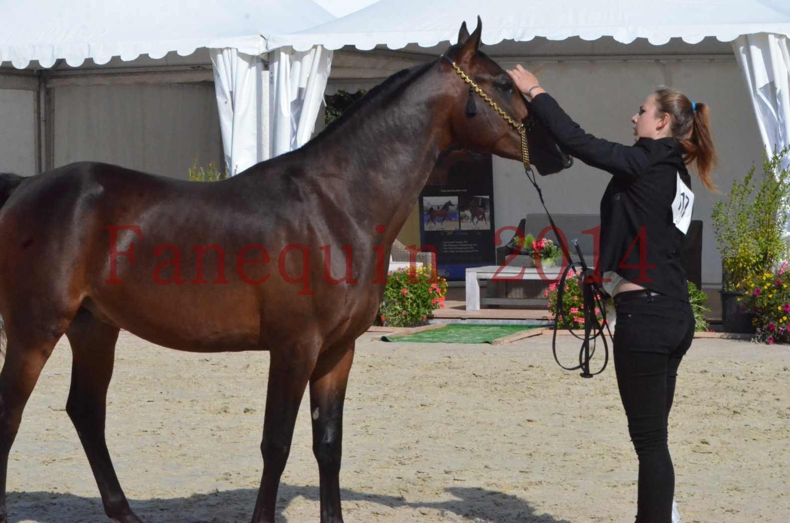 Championnat de FRANCE 2014 - Amateurs - JA KHALEB - 32