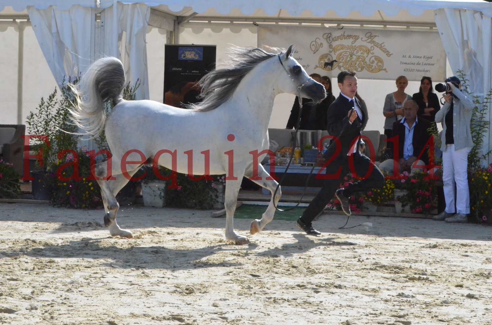 CHAMPIONNAT DE FRANCE  2014 A POMPADOUR - Sélection - SHAOLIN DE NEDJAIA - 41