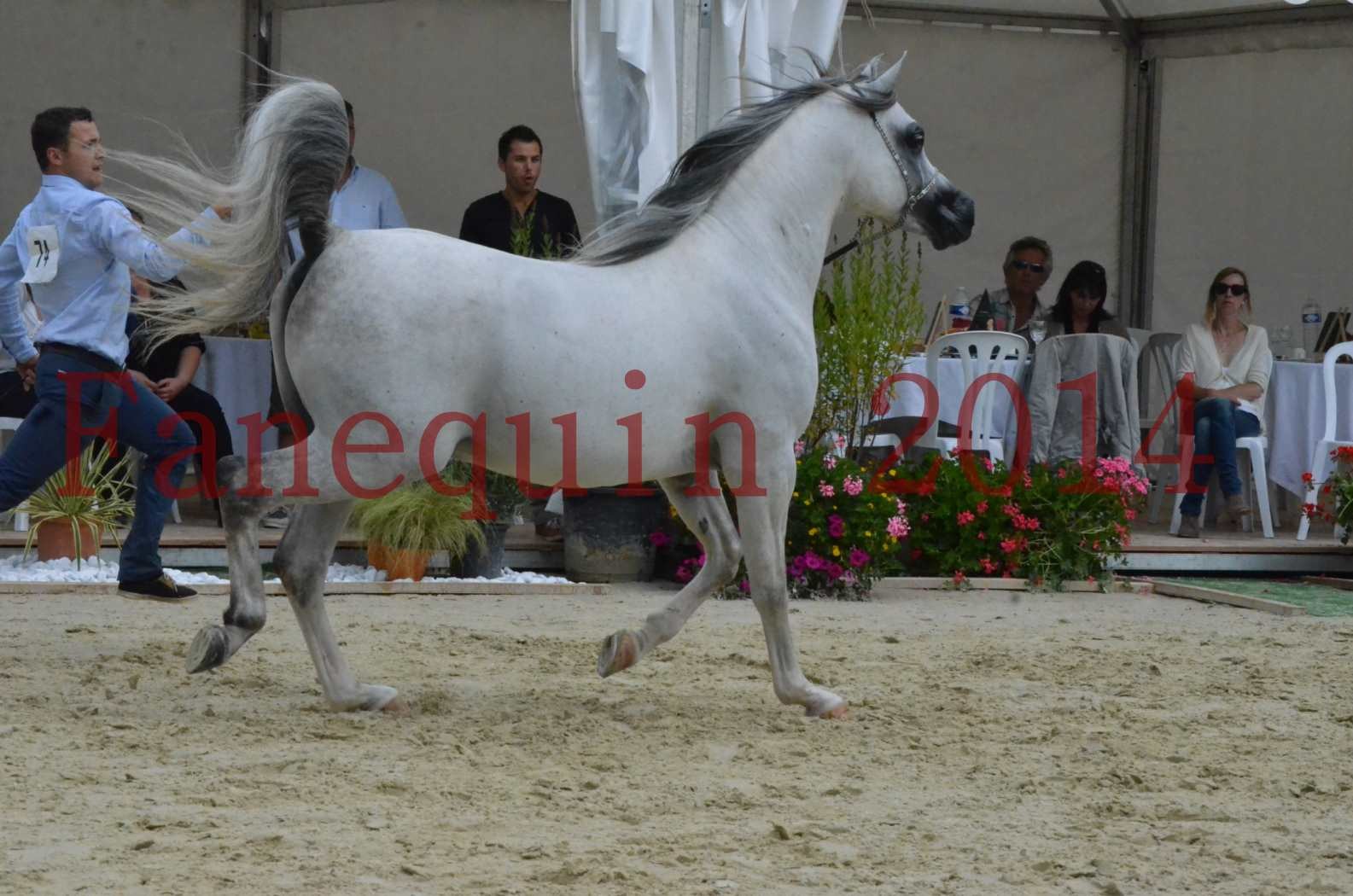 CHAMPIONNAT DE FRANCE  2014 A POMPADOUR - Championnat - SHAOLIN DE NEDJAIA - 19