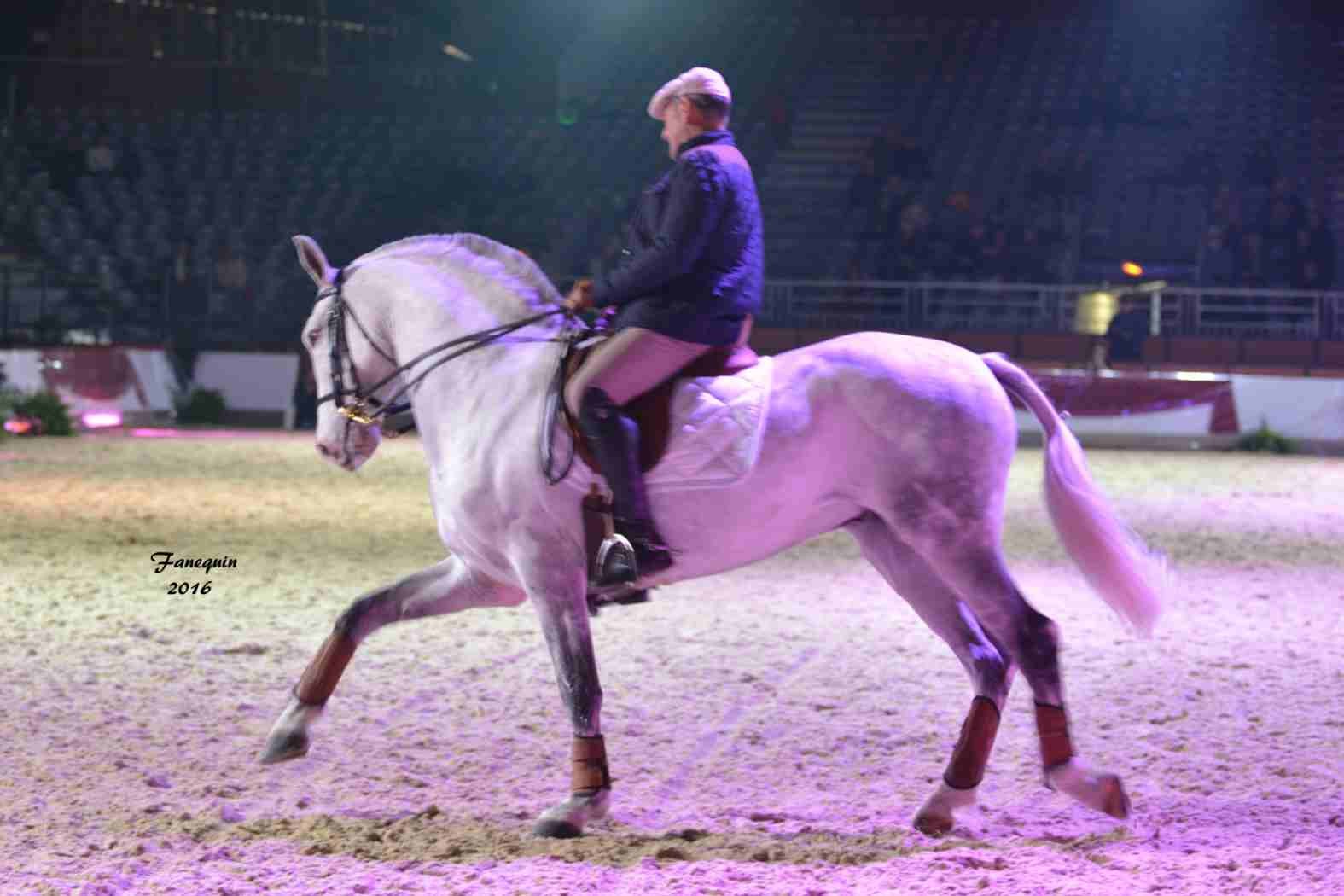 Cheval Passion 2016 - Présentation des LUSITANIENS - Ecurie de Max VENDRELL & Corinne BOUCHITTE - 13