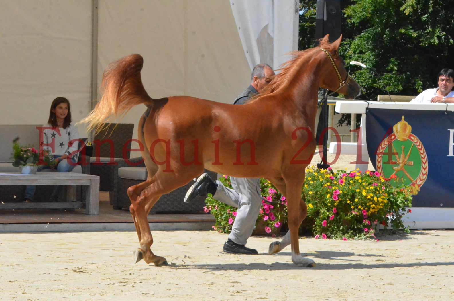 Championnat de FRANCE 2014 - Amateurs - SH CALLAS BINT ARMANI - 23