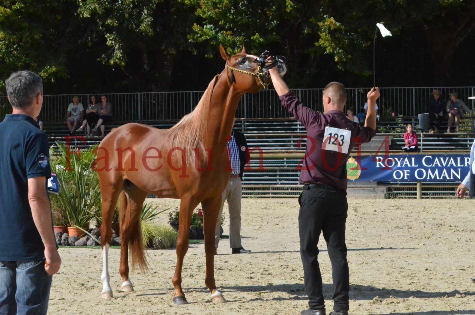 Championnat de FRANCE 2014 - Amateurs - SELECTO IBN SAMAWI - 070