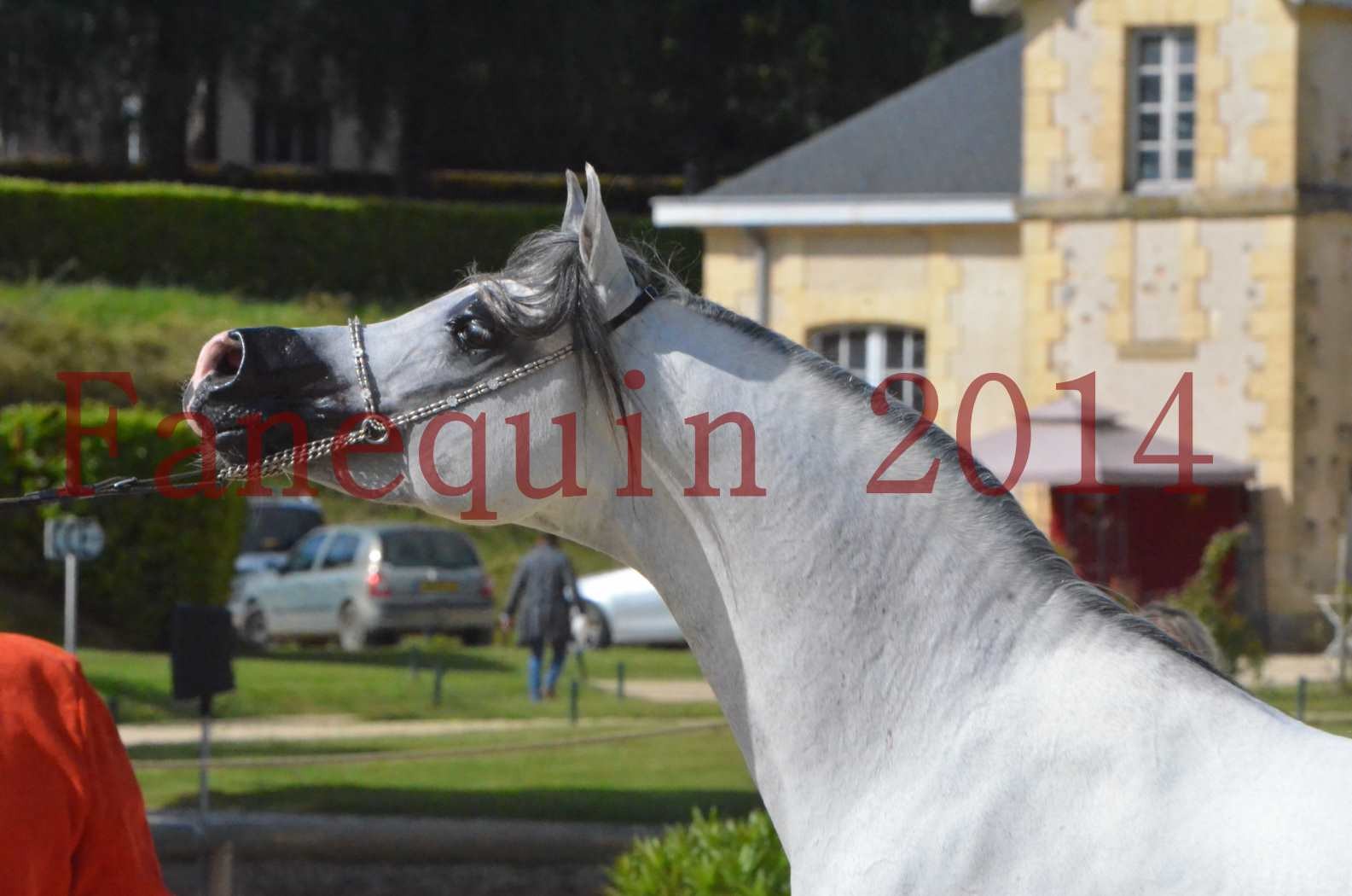 CHAMPIONNAT DE FRANCE  2014 A POMPADOUR - Sélection - SHAOLIN DE NEDJAIA - 60