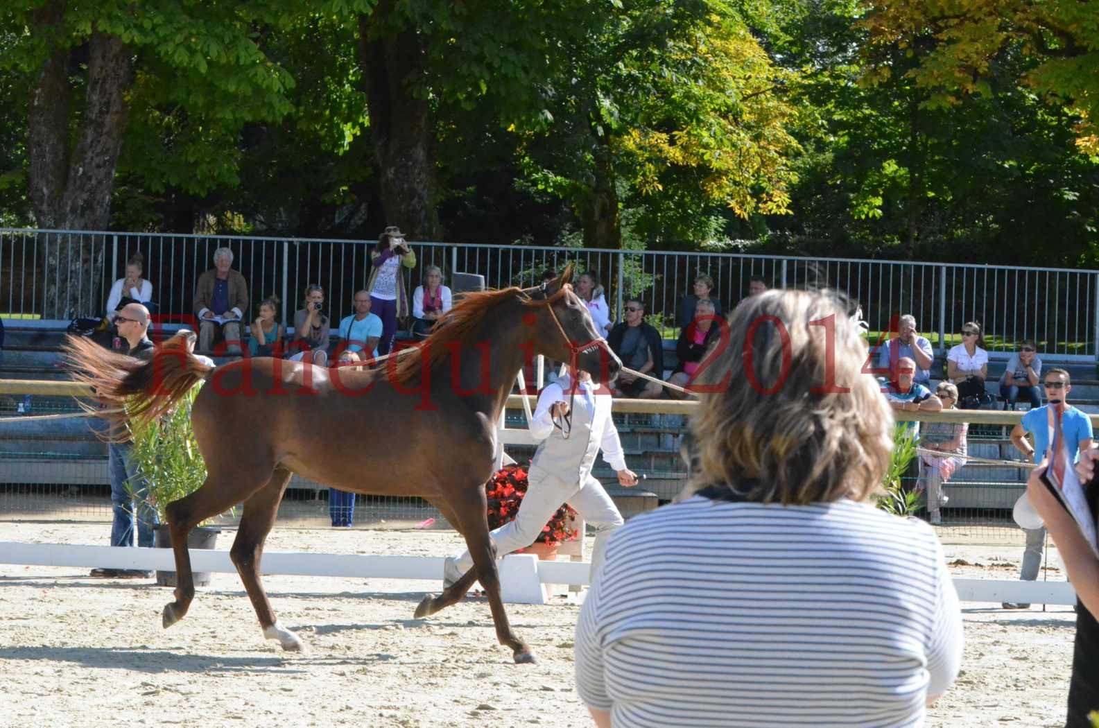 Championnat de FRANCE 2014 - Amateurs - LAMAL - 07