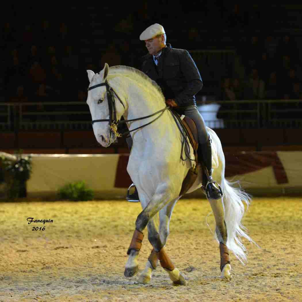 Cheval Passion 2016 - Présentation des LUSITANIENS - Ecurie de Max VENDRELL & Corinne BOUCHITTE - 36