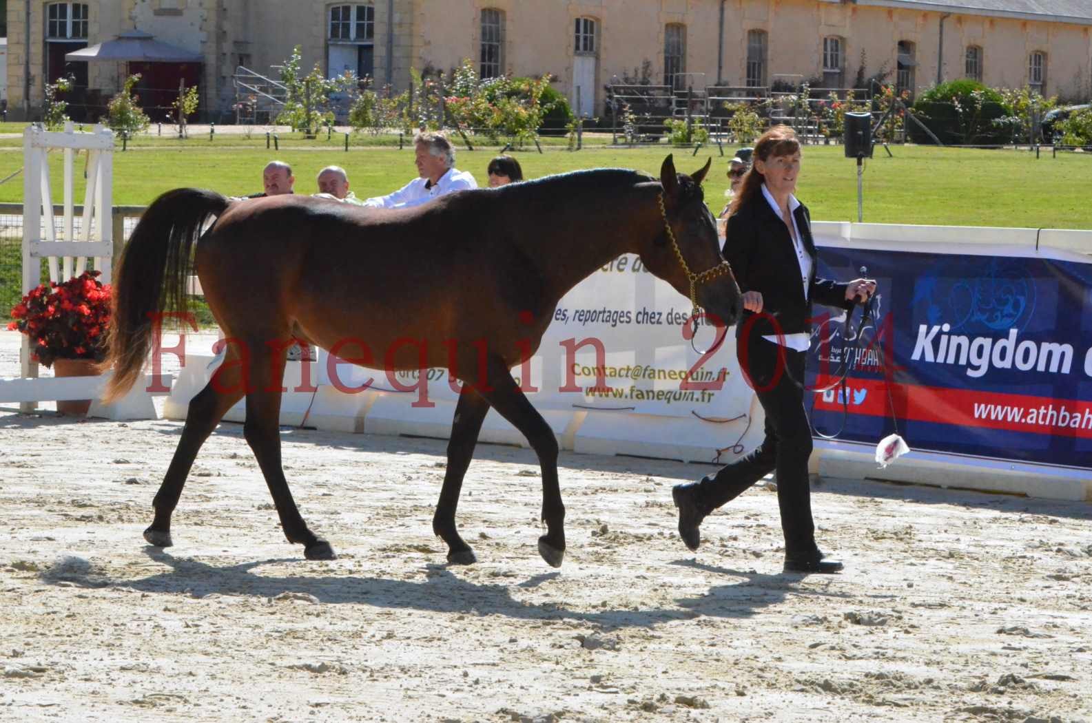 Championnat de FRANCE 2014 - Amateurs - JA KHALEB - 16