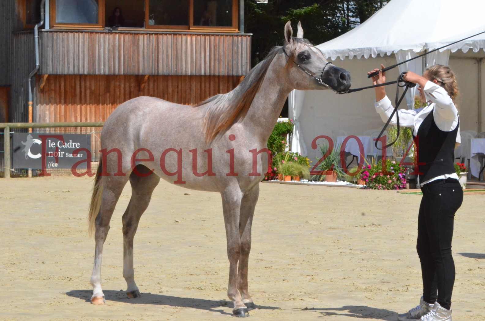 Championnat de FRANCE 2014 - Amateurs - SANA ISHANE - 60