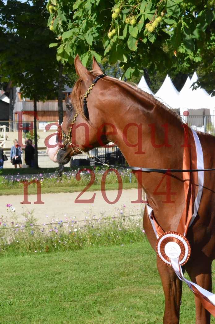 Championnat de FRANCE 2014 - Amateurs - SELECTO IBN SAMAWI - 200