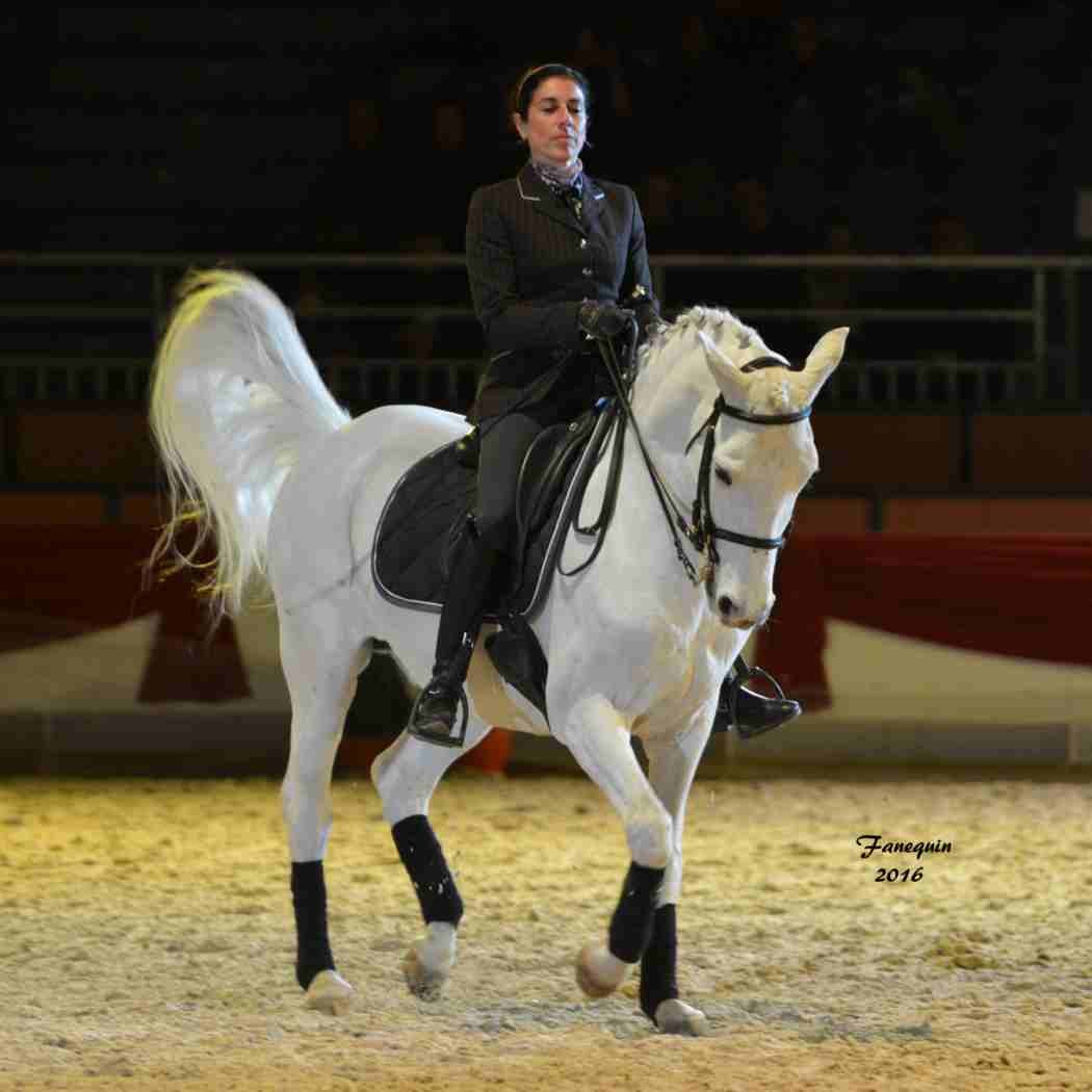 Cheval Passion 2016 - Présentation des LUSITANIENS - Ecurie de Max VENDRELL & Corinne BOUCHITTE - 45