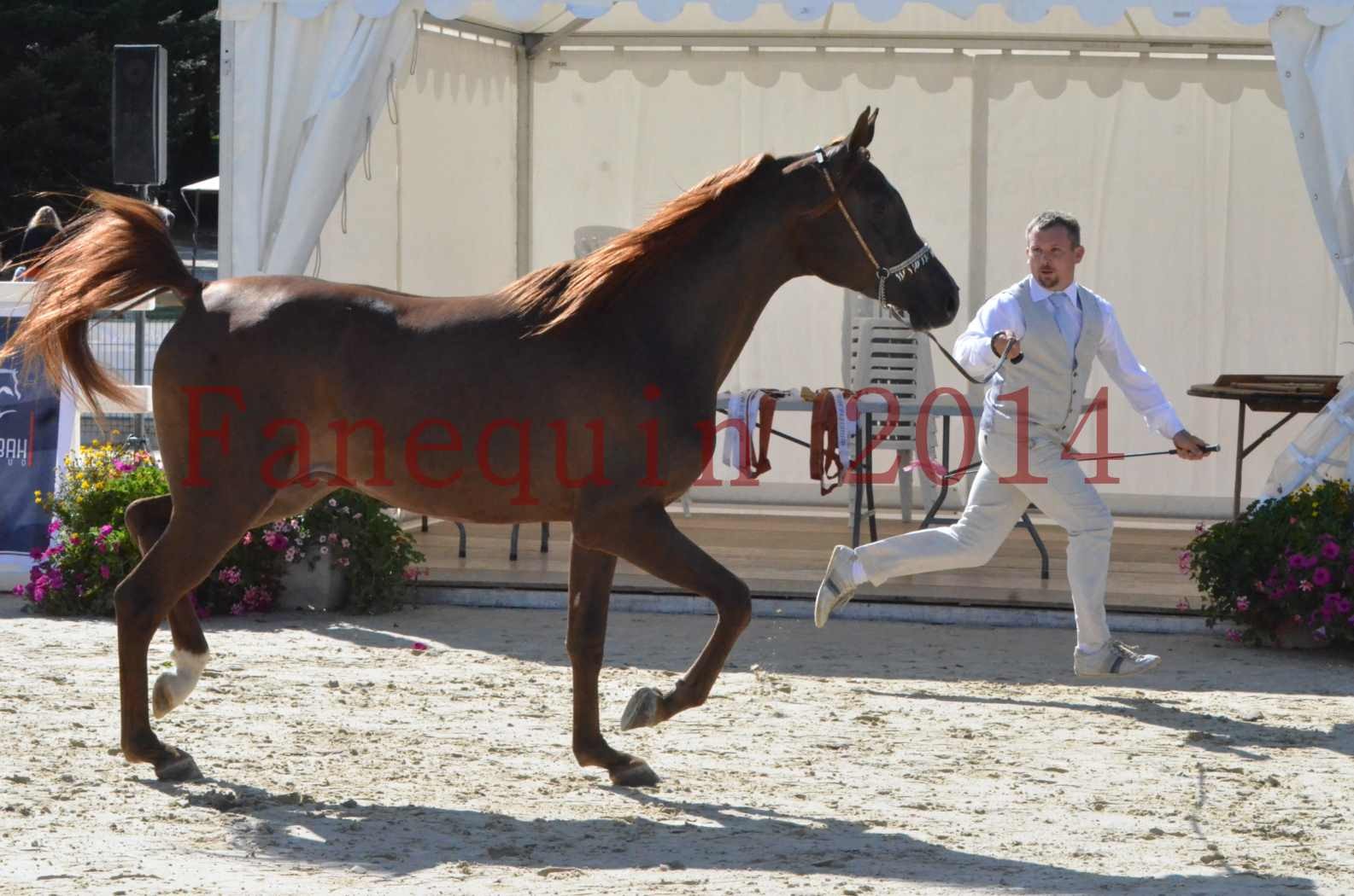 Championnat de FRANCE 2014 - Amateurs - LAMAL - 14