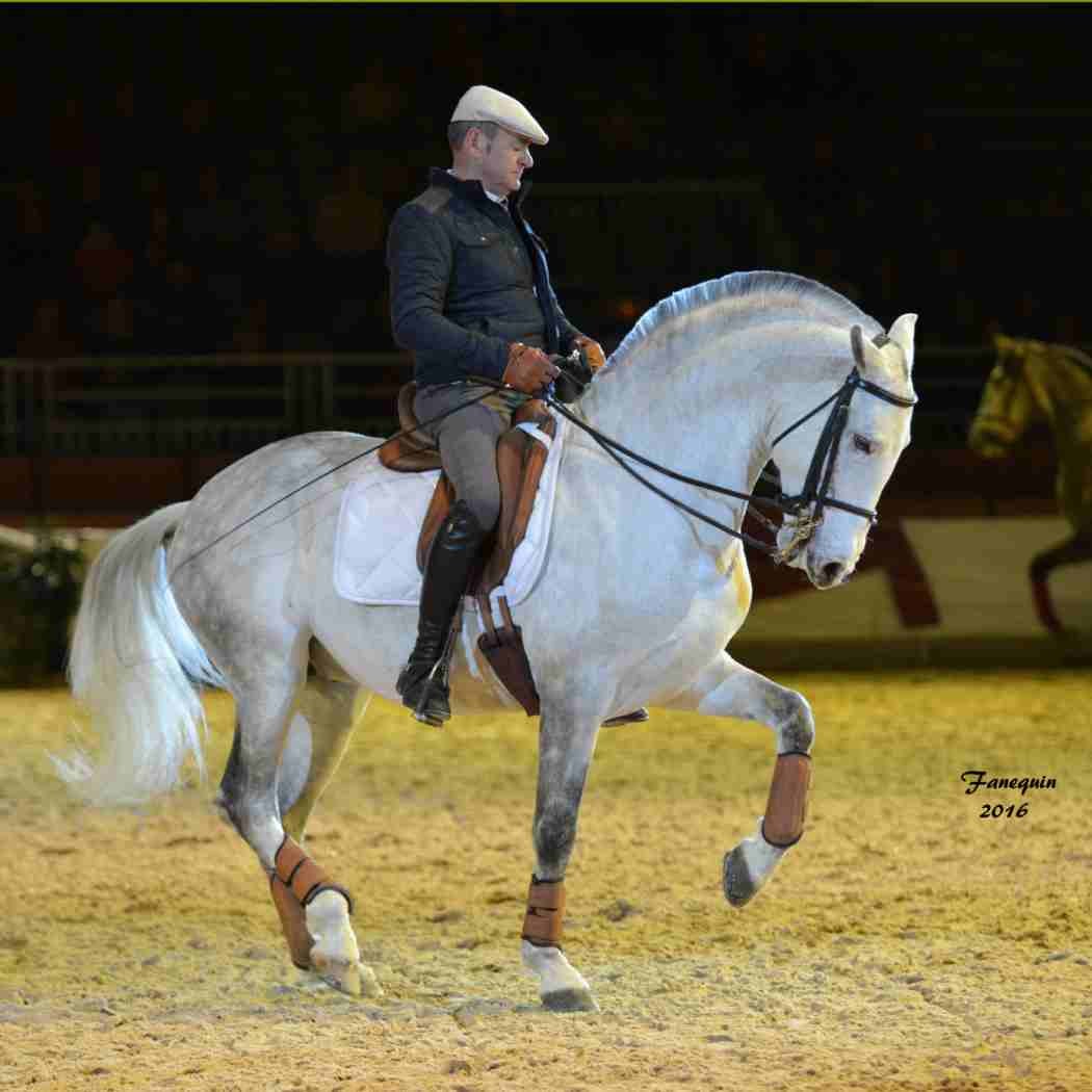 Cheval Passion 2016 - Présentation des LUSITANIENS - Ecurie de Max VENDRELL & Corinne BOUCHITTE - 29