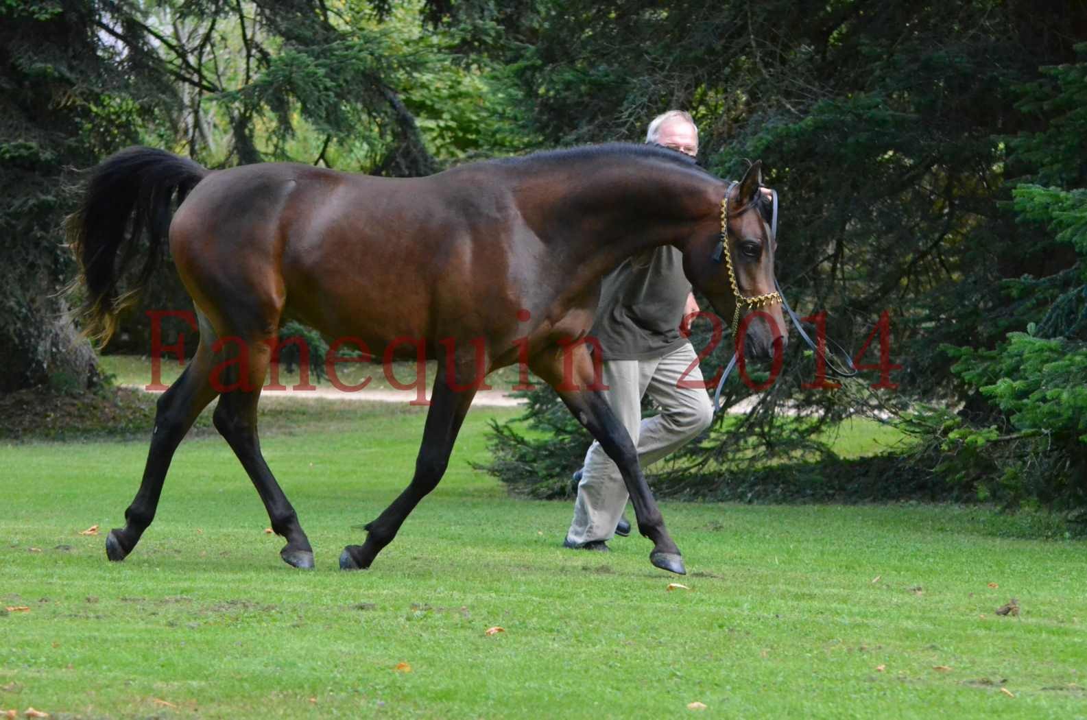 Championnat de FRANCE 2014 - Amateurs - JA KHALEB - 73