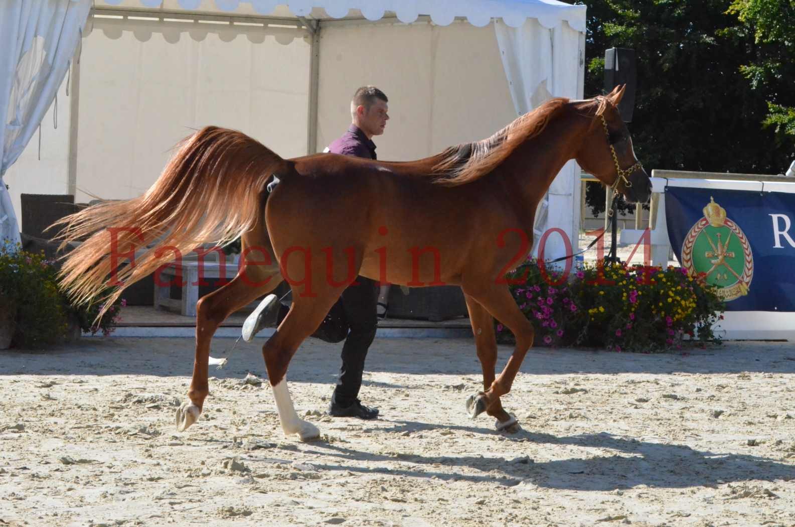 Championnat de FRANCE 2014 - Amateurs - SELECTO IBN SAMAWI - 031