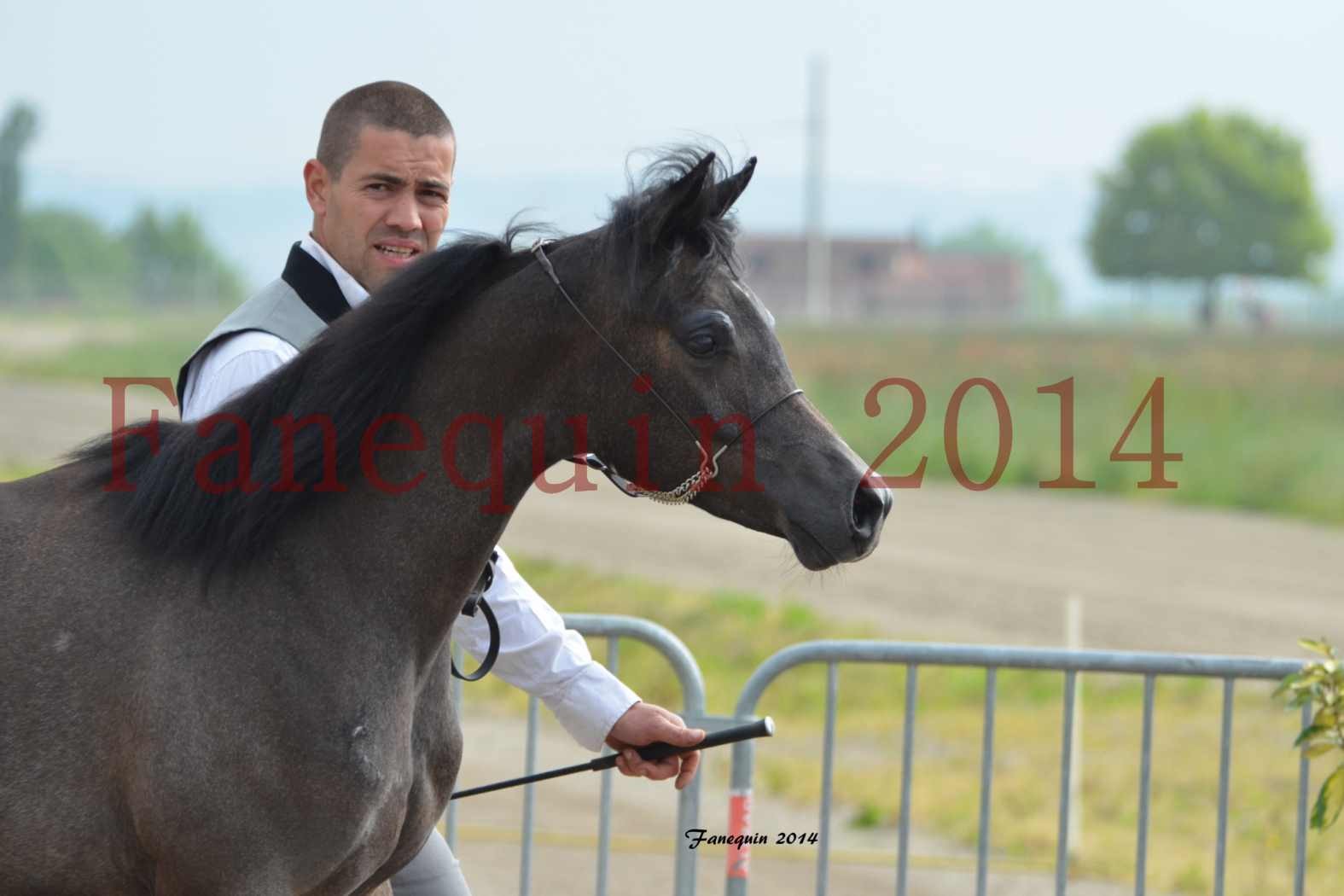 Concours National de Grenade 2014 - LOHENBERG VICTORIA - 78