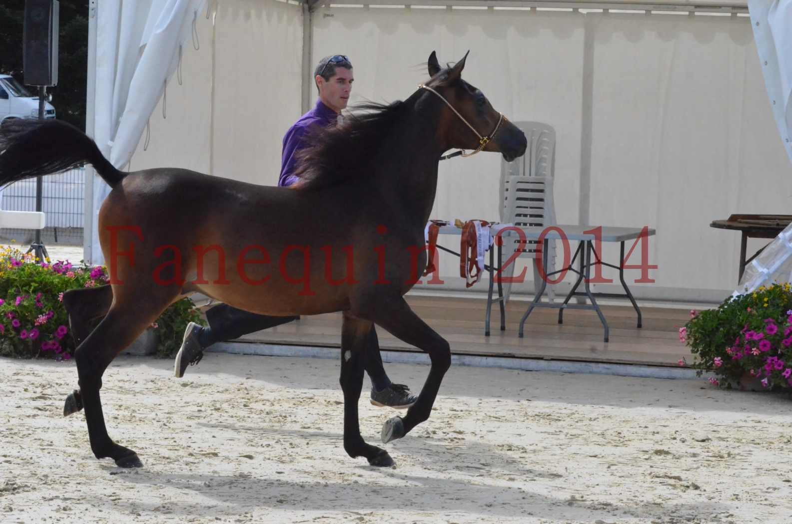 Championnat de FRANCE 2014 - Amateurs - SH FARAJAA - 02