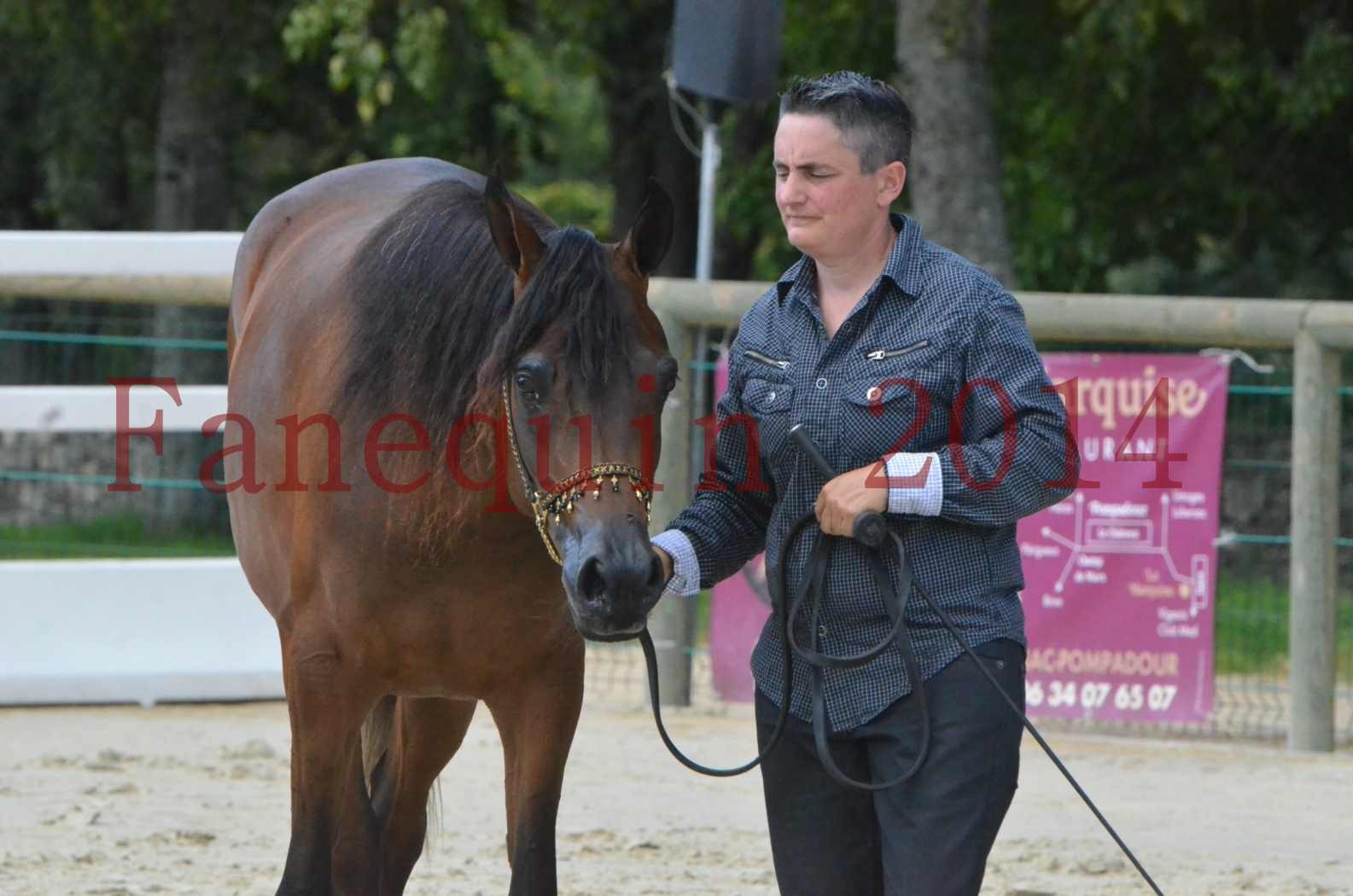 Championnat de FRANCE 2014 - Amateurs - KAL'ELLE D'ELHORIA - 96